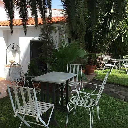 La Tierra Roja * Aliseda